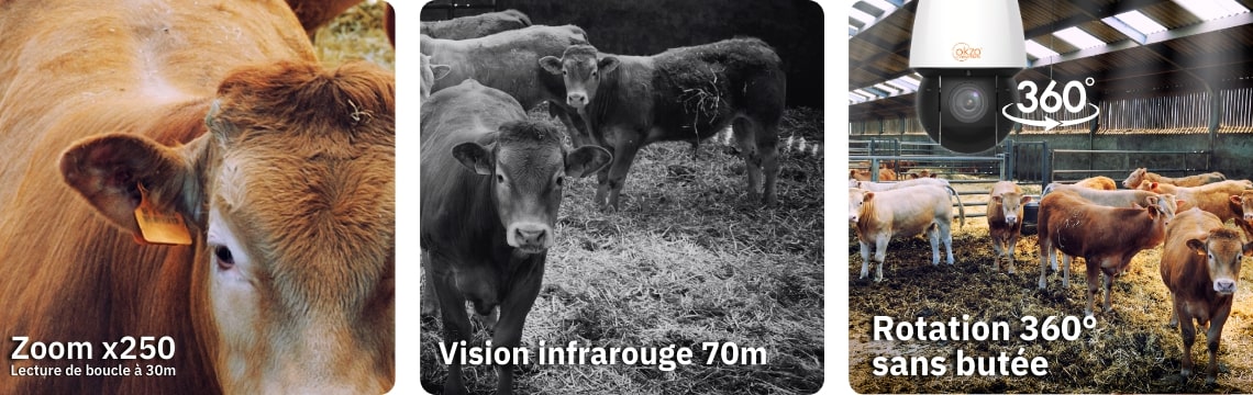 Zoom x 250 IR 70m