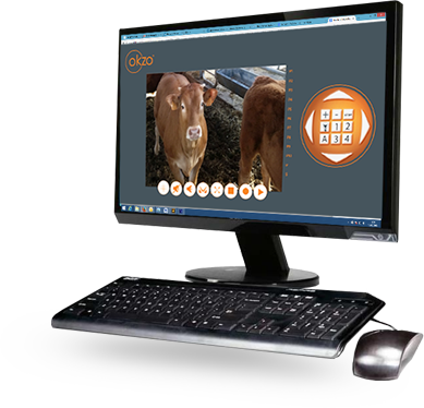 Ordinateur avec application web Okzo Ordinateur avec application web Okzo