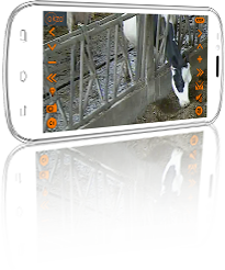 Smartphone avec application Okzo Smartphone avec application Okzo